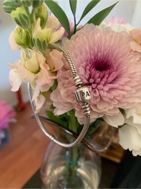 Pandora Silver snake chain Bracelet